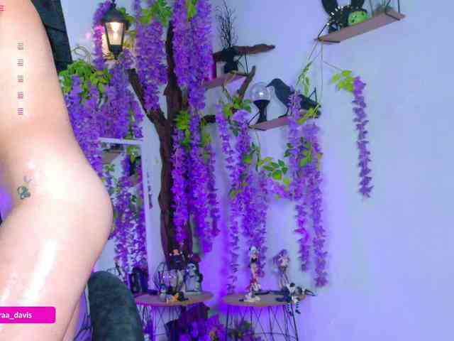 Zaradavis webcam