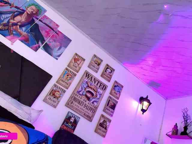 Zaradavis webcam