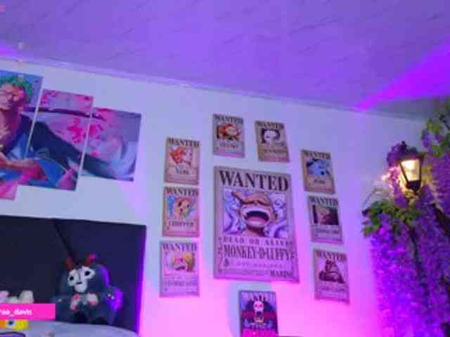 Zaradavis webcam