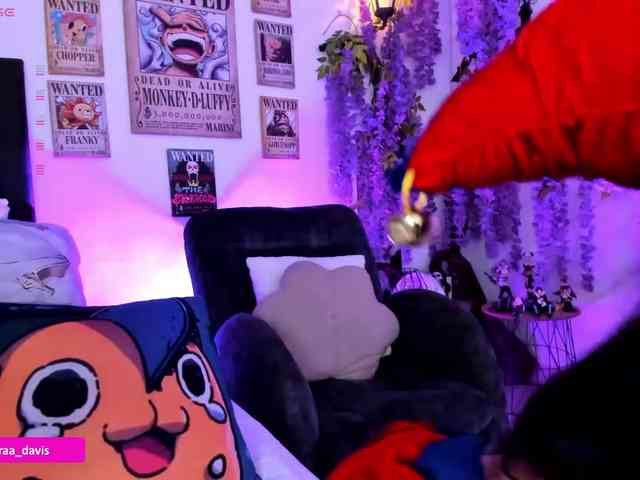 Zaradavis webcam