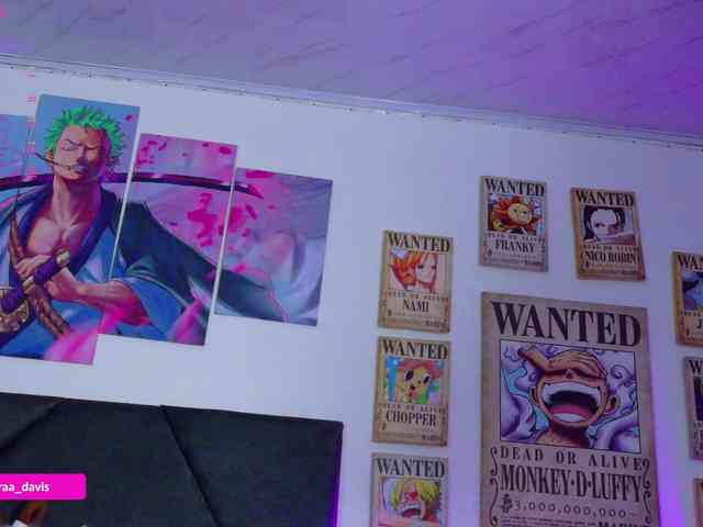 Zaradavis webcam