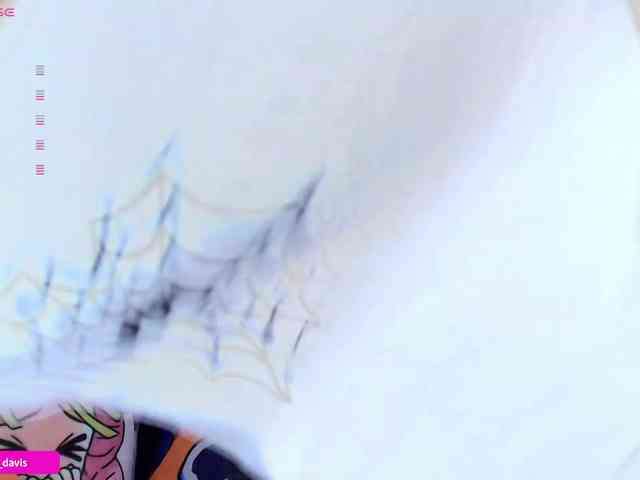 Zaradavis webcam