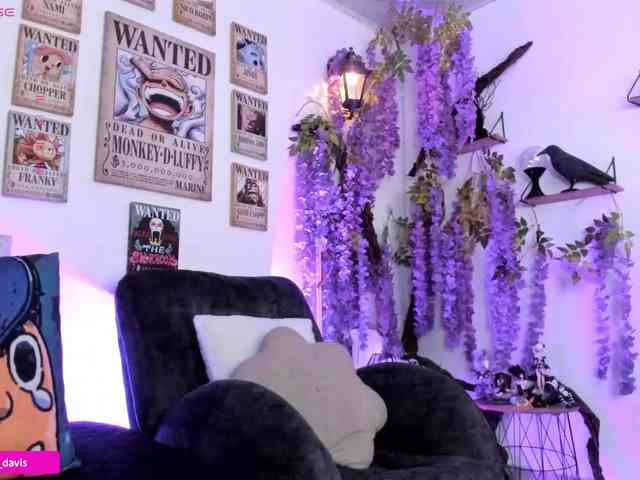 Zaradavis webcam