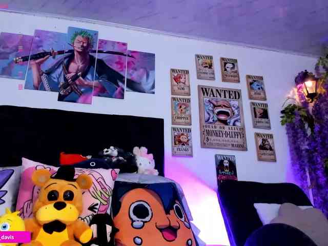 Zaradavis webcam