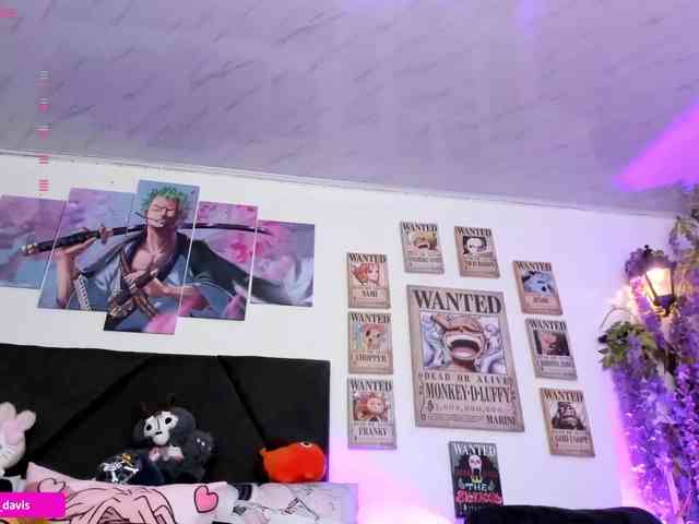 Zaradavis webcam