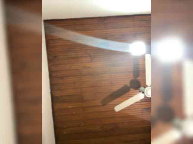 NikyShwan webcam