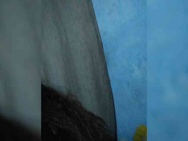 Pisouna webcam