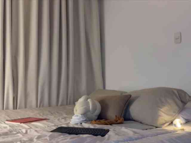 MiiaVega webcam