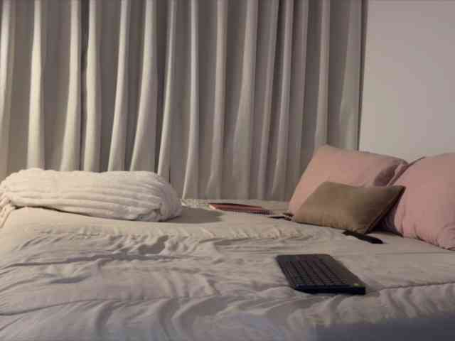 MiiaVega webcam