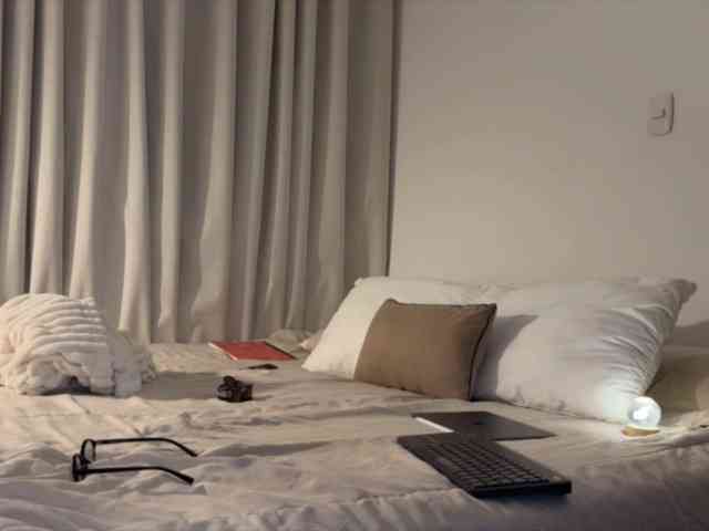 MiiaVega webcam