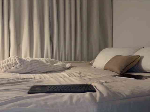 MiiaVega webcam