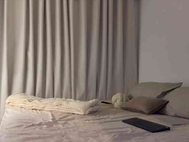 MiiaVega webcam