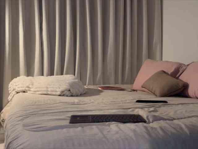 MiiaVega webcam