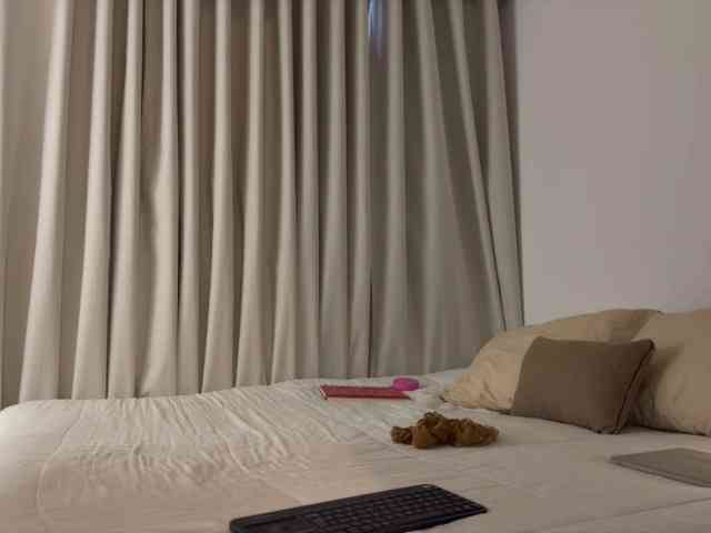 MiiaVega webcam