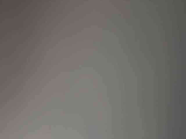 MiiaVega webcam