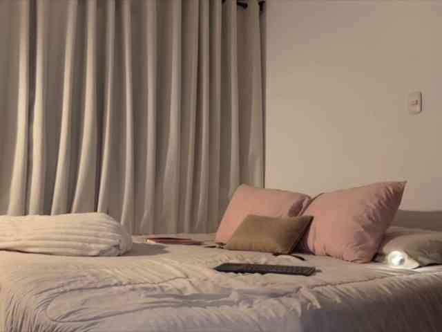 MiiaVega webcam