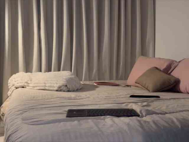 MiiaVega webcam