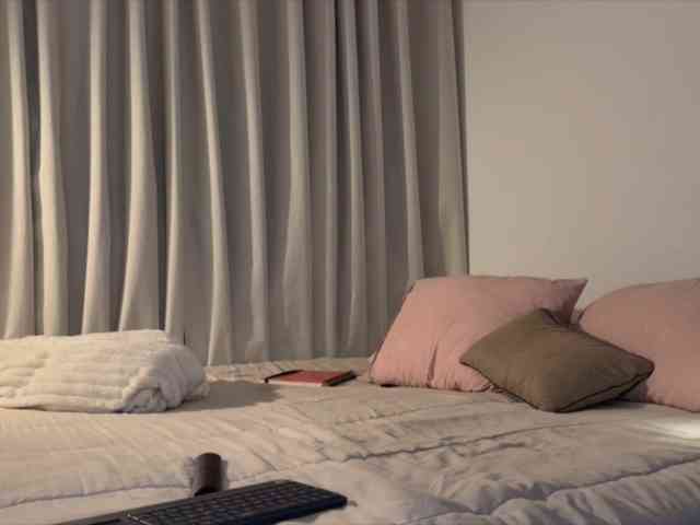 MiiaVega webcam