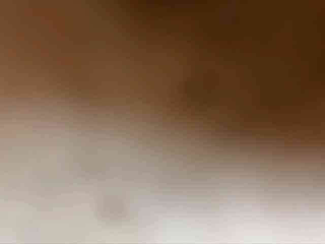 MiiaVega webcam