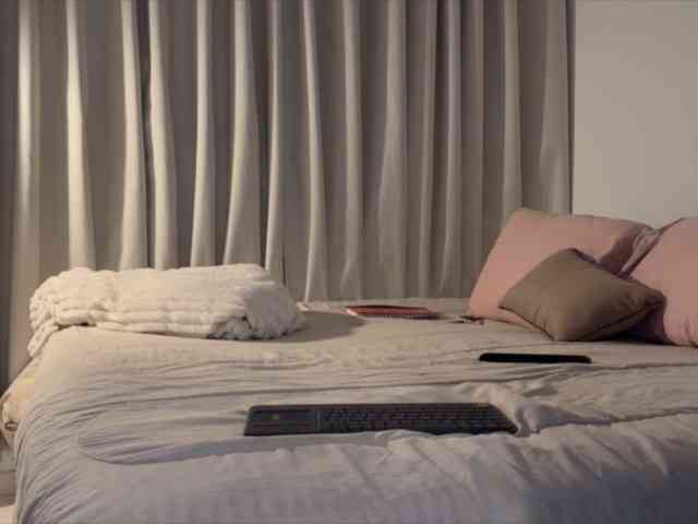 MiiaVega webcam