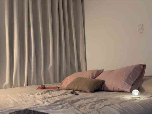 MiiaVega webcam