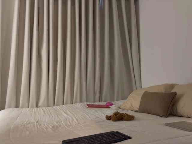 MiiaVega webcam