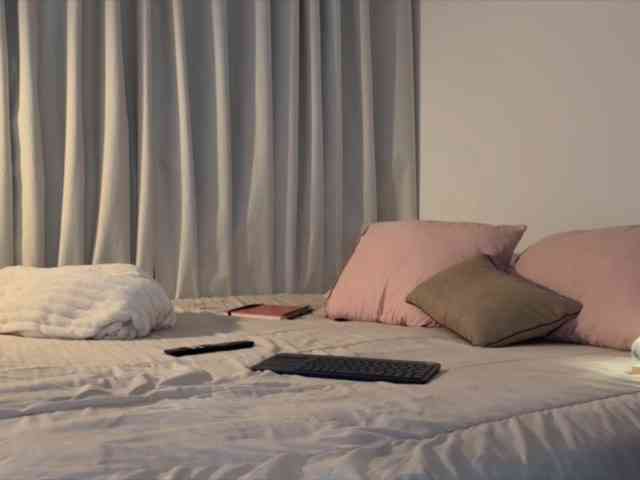 MiiaVega webcam