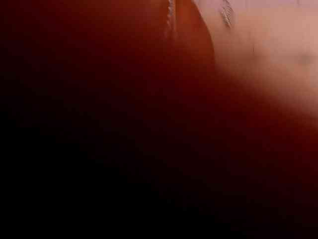 Alexandrawoow webcam