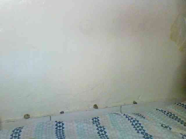 Sexxyblacky webcam