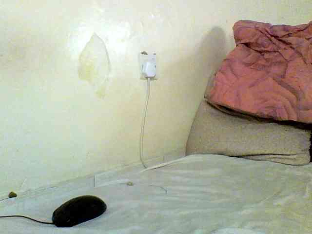 Sexxyblacky webcam