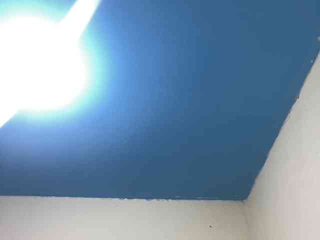 elekttra_ webcam
