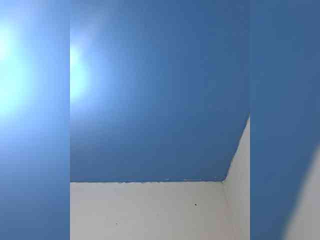 elekttra_ webcam