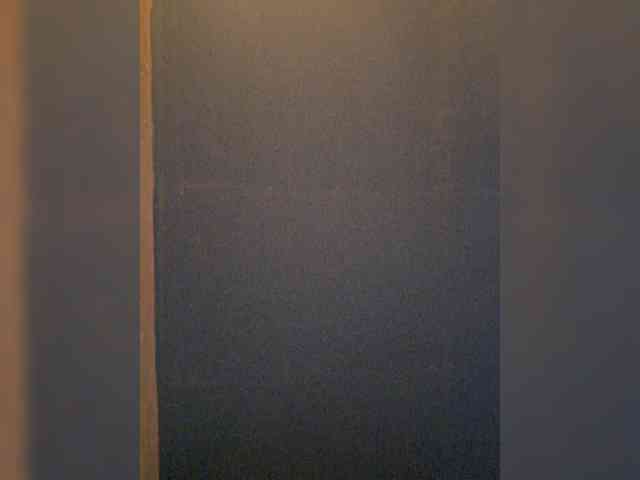 elekttra_ webcam