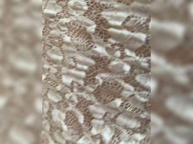 squirtproo webcam