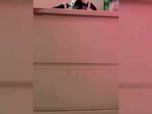 squirtproo webcam