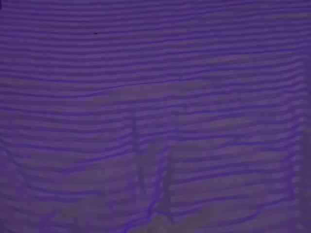 spy webcam CrystallPaws