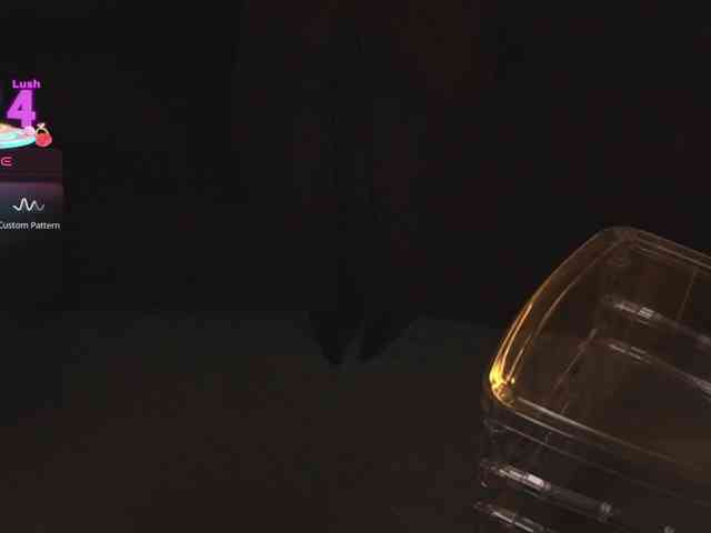 CrystallPaws webcam