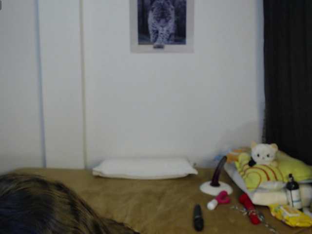 alicehorny's BongaCams show and profile