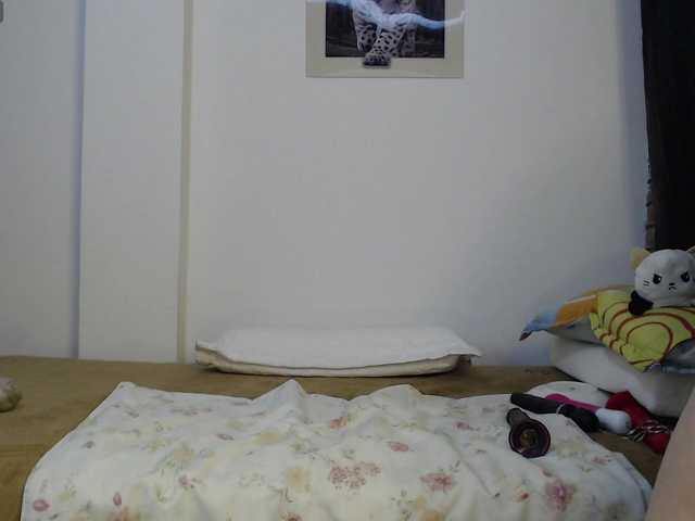 alicehorny's BongaCams show and profile