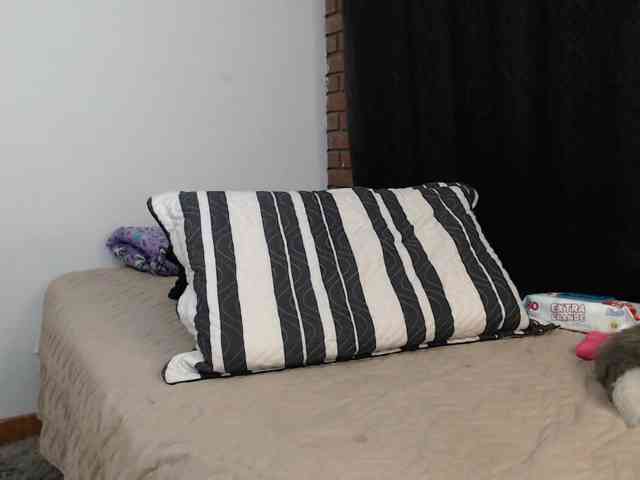 alicehorny webcam