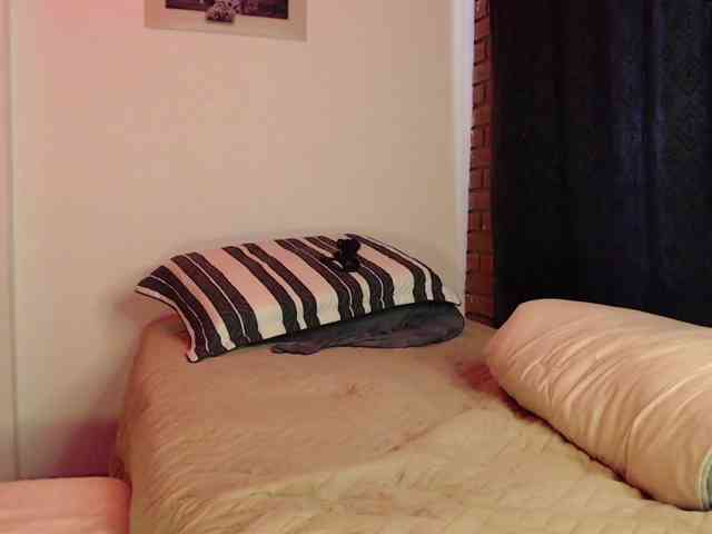 alicehorny webcam