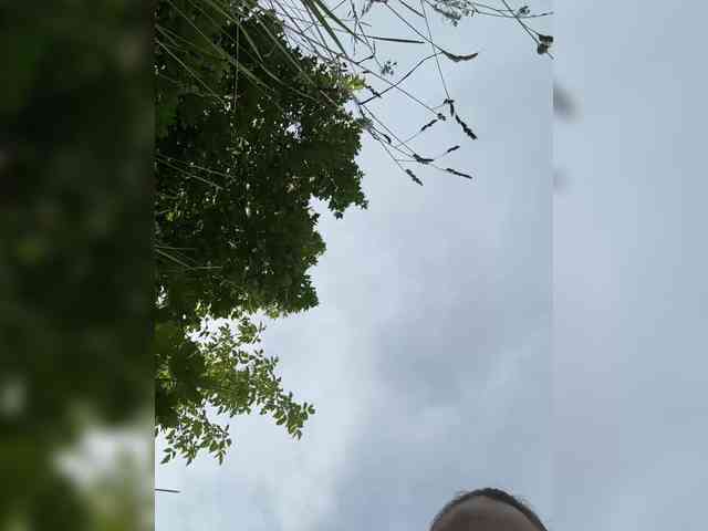 desorwss webcam