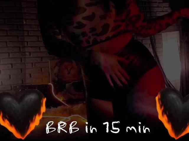 Li-Drago webcam