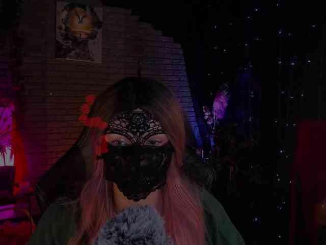 Li-Drago webcam