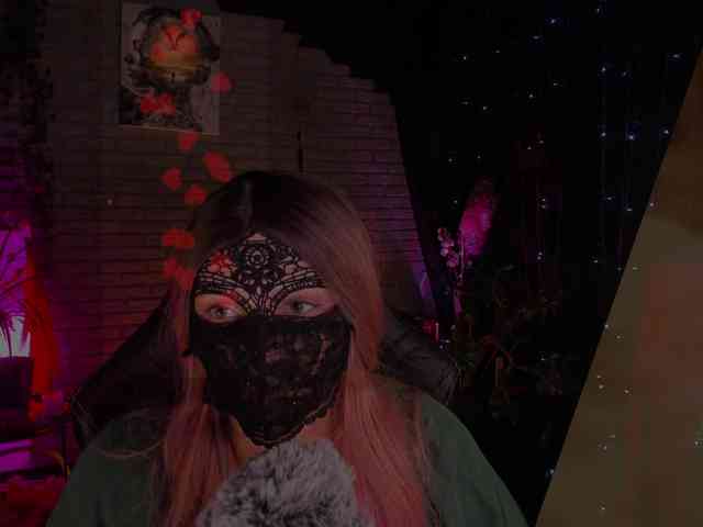 Li-Drago webcam