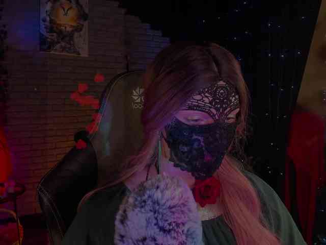 Li-Drago webcam