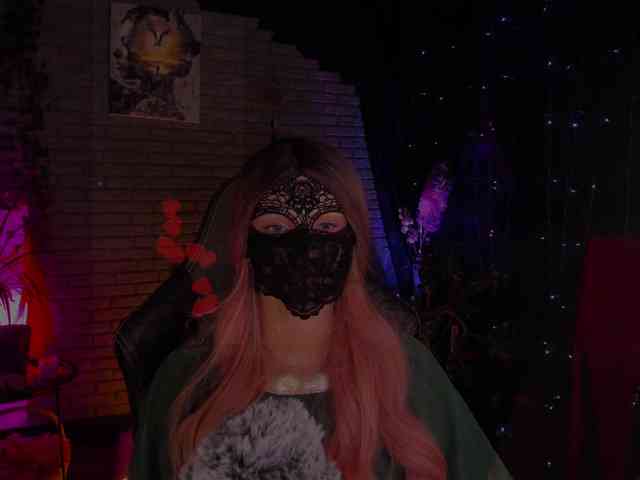 Li-Drago webcam