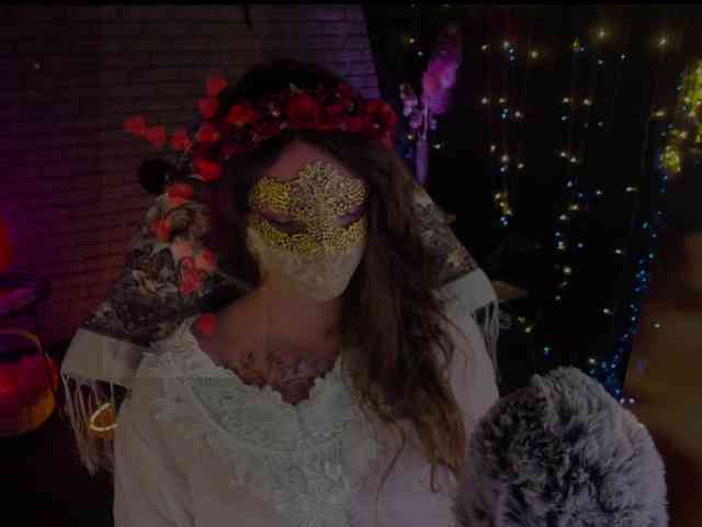 Li-Drago webcam