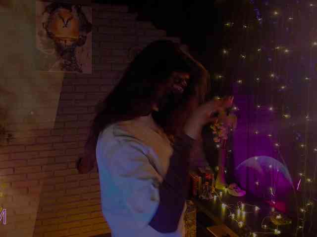 Li-Drago webcam