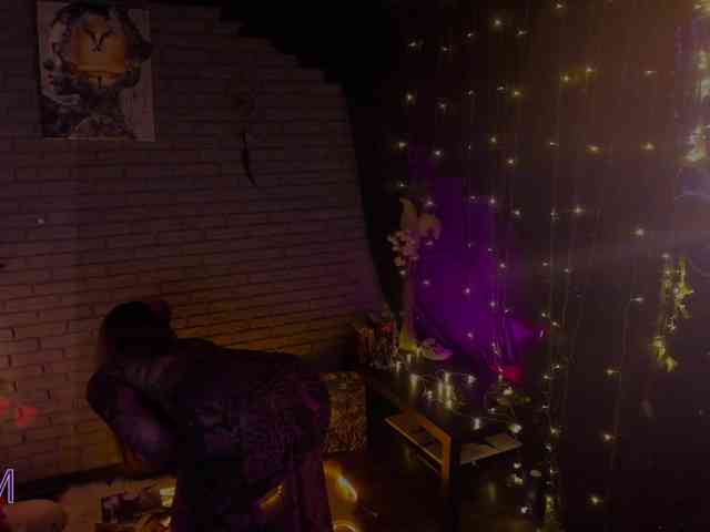 Li-Drago webcam